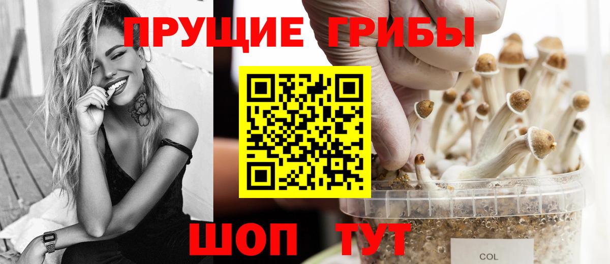 Нальчик  Псилоцибиновые грибы Psilocybine cubensis  Вход с VPN 